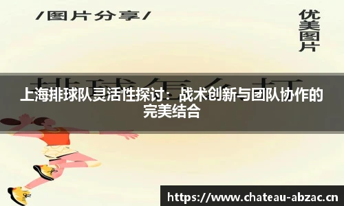 熊猫体育上海排球队灵活性探讨：战术创新与团队协作的完美结合