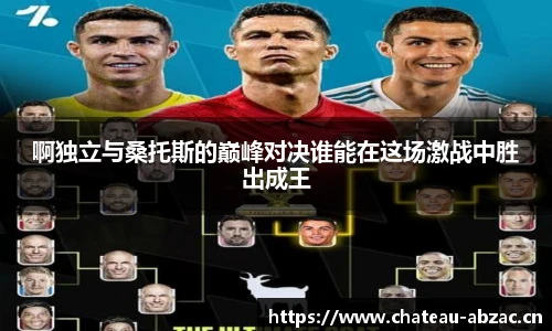 熊猫体育啊独立与桑托斯的巅峰对决谁能在这场激战中胜出成王